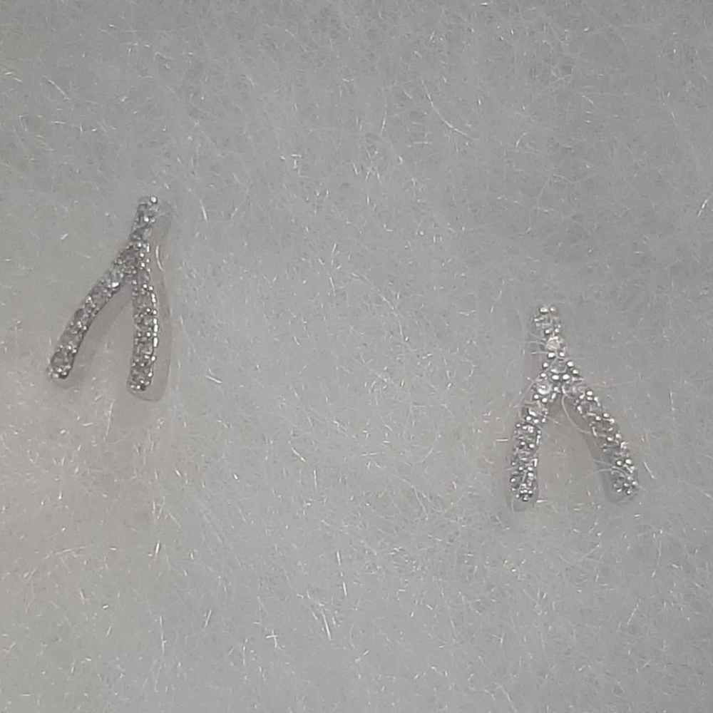 Brand new earings